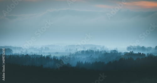 Schilderij op canvas Silhouettes of trees covered in fog