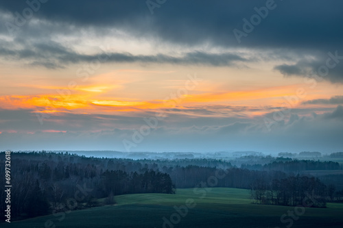 Silhouettes of trees covered in fog. Gloomy weather over the countryside. Lonely and spooky scenery. 