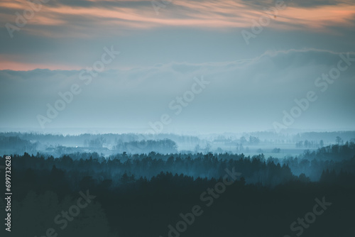 Obraz na płótnie Silhouettes of trees covered in fog. Gloomy weather over the countryside. Lonely and spooky scenery. w salonie