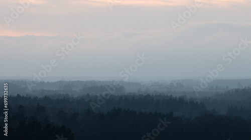 Obraz na płótnie Silhouettes of trees covered in fog. Gloomy weather over the countryside. Lonely and spooky scenery. w salonie