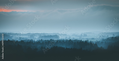 Obraz na płótnie Silhouettes of trees covered in fog. Gloomy weather over the countryside. Lonely and spooky scenery. w salonie