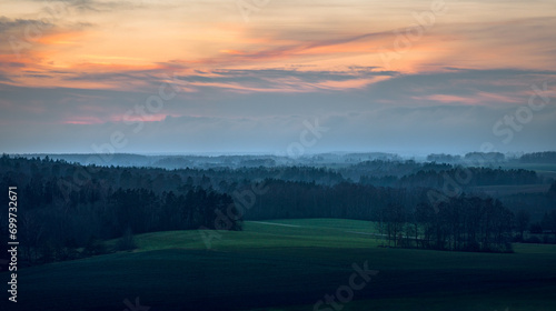 Obraz na płótnie Silhouettes of trees covered in fog. Gloomy weather over the countryside. Lonely and spooky scenery. w salonie