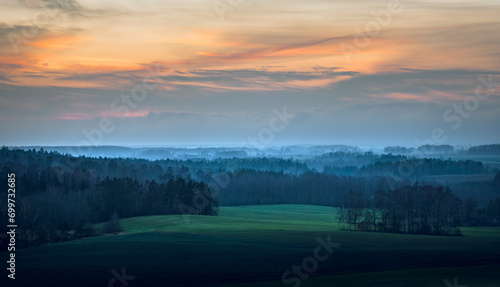 Obraz na płótnie Silhouettes of trees covered in fog. Gloomy weather over the countryside. Lonely and spooky scenery. w salonie