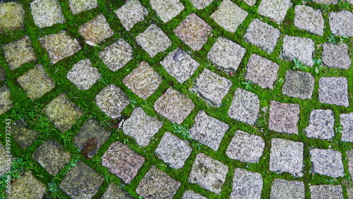 Belle surface de piéton en terre celtique, avec des herbes ou de la pelouse bien verte poussant entre les cailloux, environnement urbain historique, beauté naturelle et écologique photo