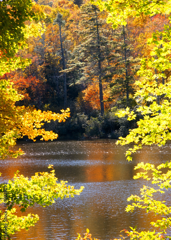 Fototapeta premium Autumn Color Trees on the Cullasaja River in North Carolina