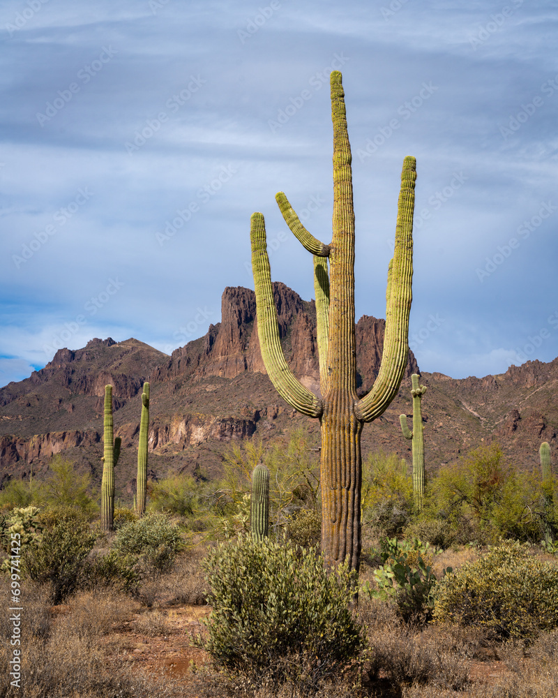 Rainy Weather in the Central Arizona Desert, America, USA.