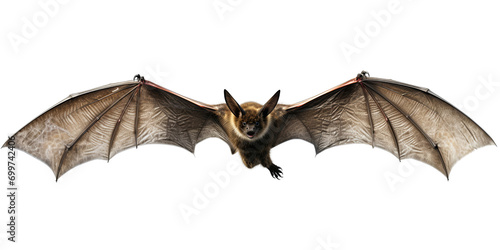 Flying black bat isolated on transparent background PNG