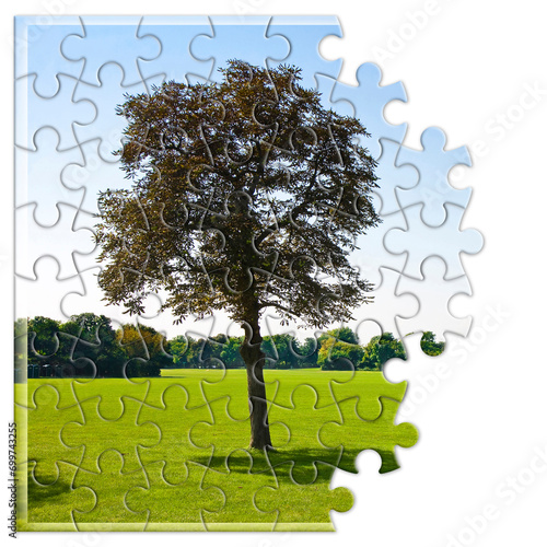 Lone tree in a green meadow - environmental conservation concept in jigsaw puzzle shape photo