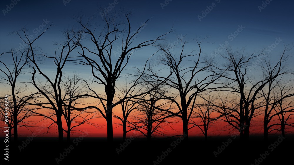 silhouettes of trees at sunset