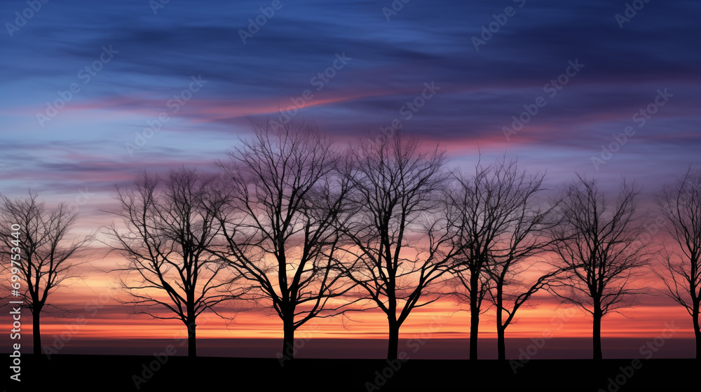 silhouettes of trees at sunset
