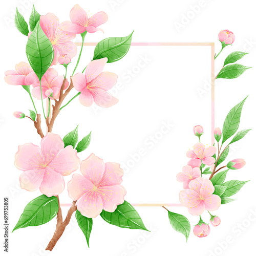 Watercolor hand drawn illustration of Cherry Blossom sakura frames wreaths border spring time pink blooming flowers