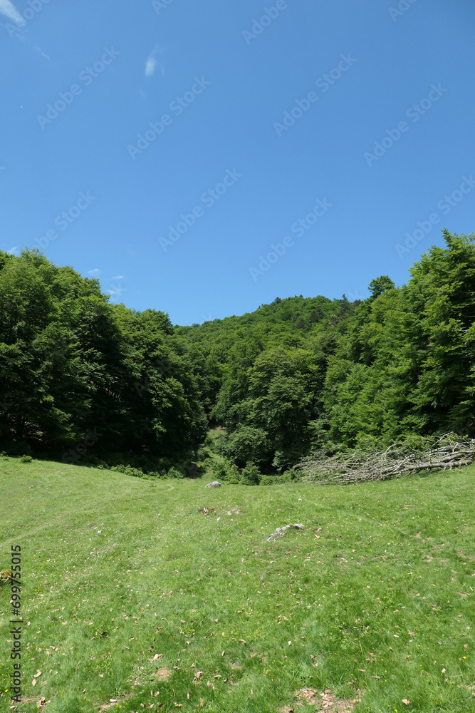 Naklejka premium Randonnée en baronnies
