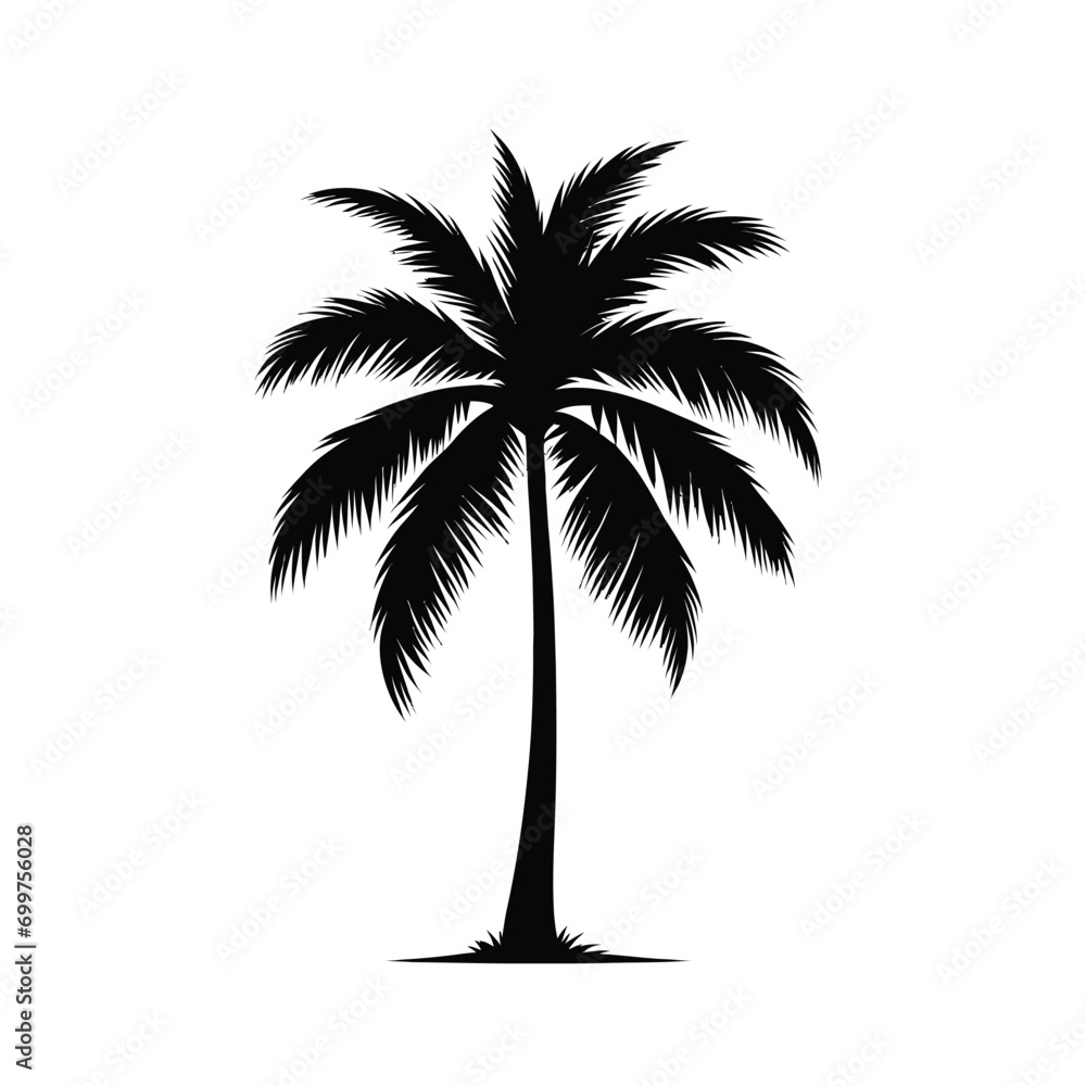 Palm Tree Silhouette