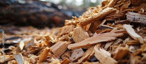 Wood chips are a renewable energy resource used for combustion in energy engineering. photo