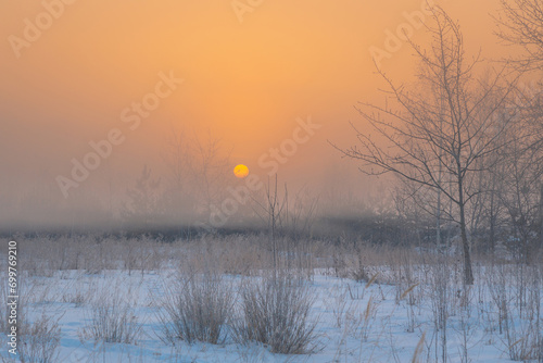 Winter morning glorious scene with sun, rising through the frosty fog over snowy meadow.