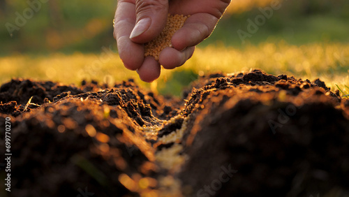 Closeup of woman gardner farmer hands gently scattering seeds into fertilizer soil. Concept of organic bio farming in agriculture and spring gardening. Sowing season. Manual sprinkling seeds in ground