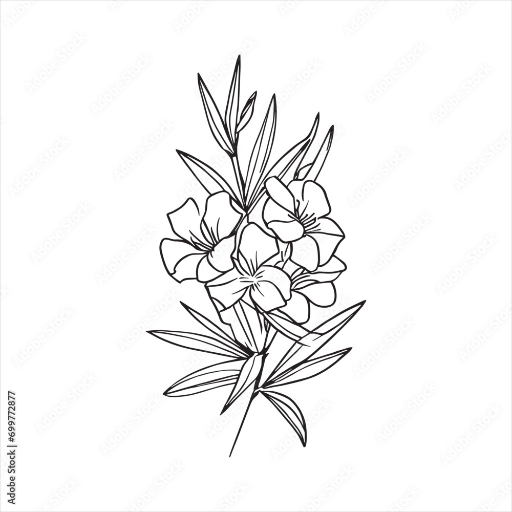 Decorative abstract oleander hand-drawn flower bouquet of line art design. Easy sketch art of Oleander flower outline.
 - obrazy, fototapety, plakaty 