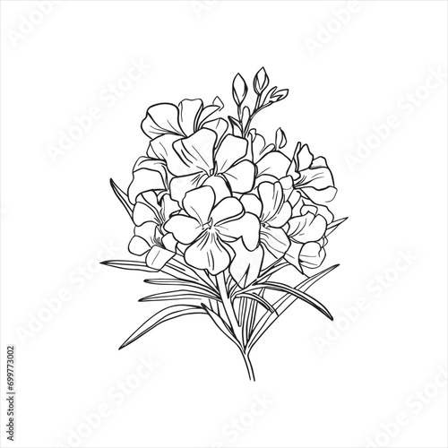 Fototapeta Naklejka Na Ścianę i Meble -  Decorative abstract oleander hand-drawn flower bouquet of line art design. Easy sketch art of Oleander flower outline.
