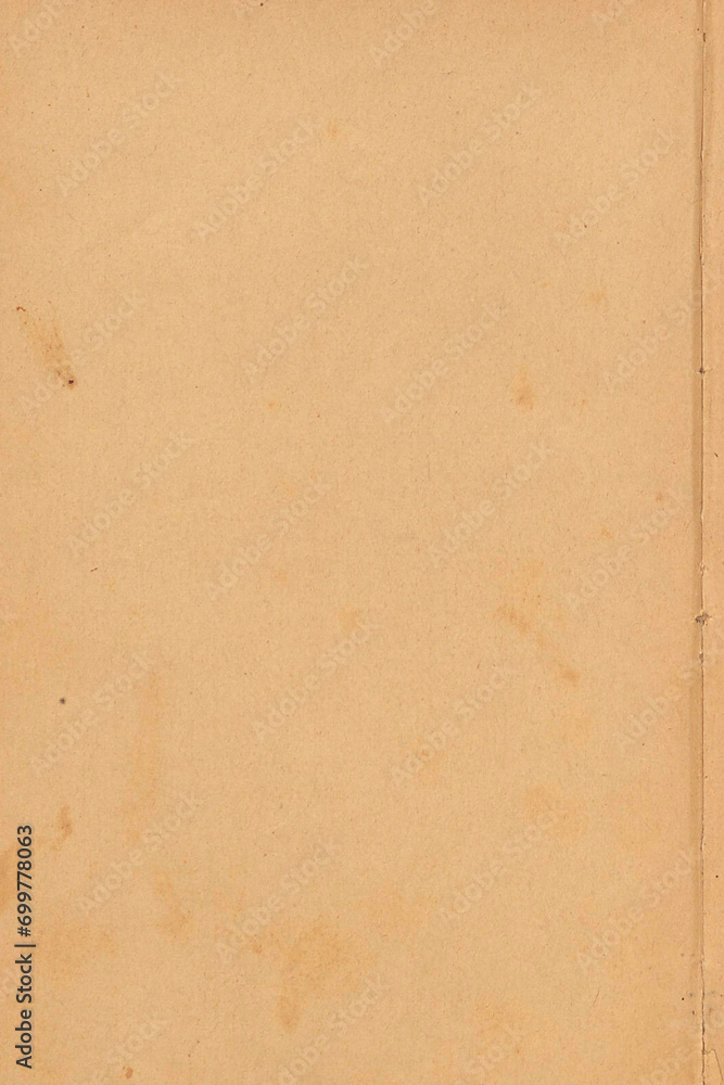 Fototapeta premium Scan of old damaged vintage paper 300 dpi