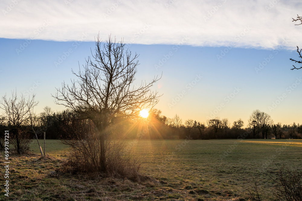 The rays of the rising morning sun shine through the trees in the fields and meadows of Siebenbrunn, the smallest district of the Fugger city of Augsburg The rays of the rising morning sun shine through the trees in the fields and meadows of Siebenbrunn, the smallest district of the Fugger city of Augsburg