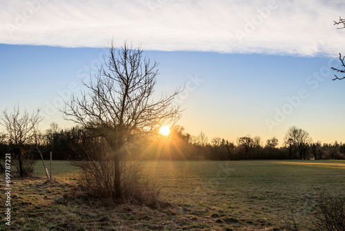 The rays of the rising morning sun shine through the trees in the fields and meadows of Siebenbrunn, the smallest district of the Fugger city of Augsburg © were
