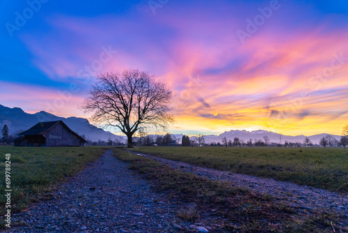 Panoramic view with single tree and wooden barn on meadow in Rhein valley, Panorama under afterglow with Vorarlberg mountains in background. red, orange, yellow and blue clouds on the sky after sunset