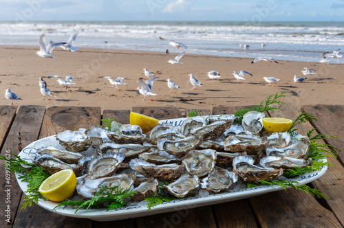 Oysters and white wine in a restaurant with a sea view seagulls on sandy beach,