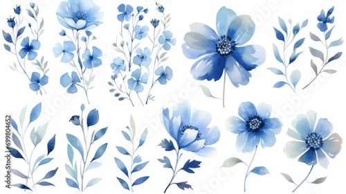  a set of blue flowers and leaves painted in watercolor on a white background with a place for your text. © Anna