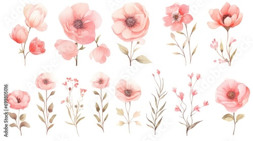  a set of flowers painted in watercolor on a white background, including pink flowers, green leaves, and red berries. photo