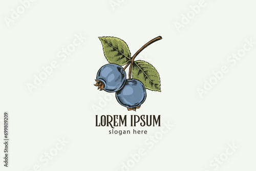 hand-drawn colorful blueberry with leaf logo design, illustration retro style, vintage logo design