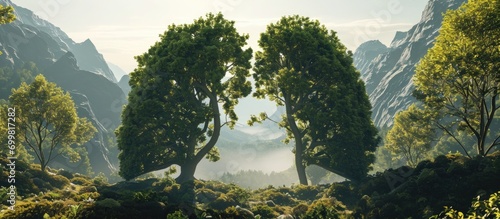 The lung-like shape against mountains. Trees purify air. Ecological idea. photo