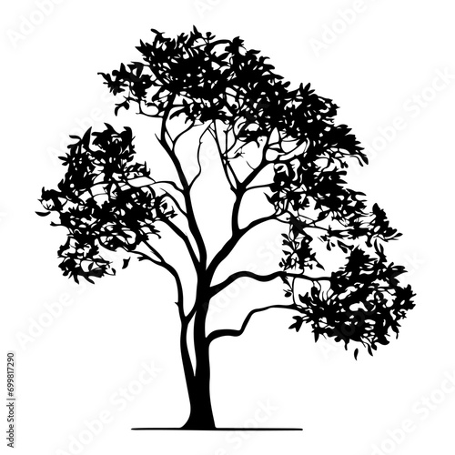 Bare deciduous trees silhouette, Beautiful different leafless trees. Vector illustration