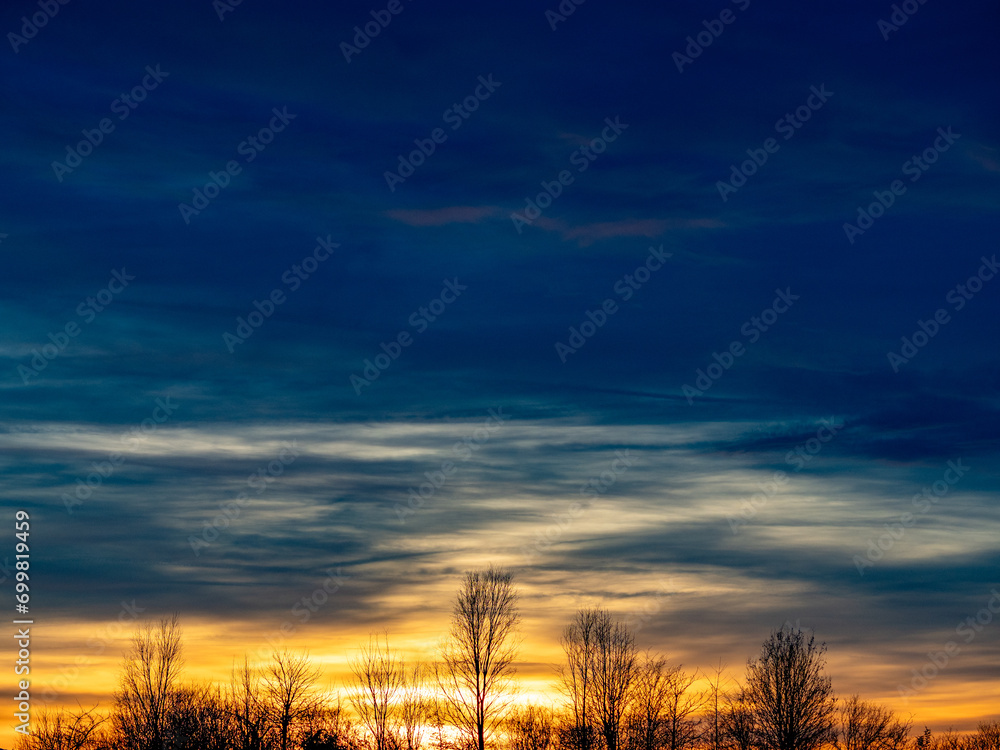 Fototapeta premium Baumreihe im Gegenlicht