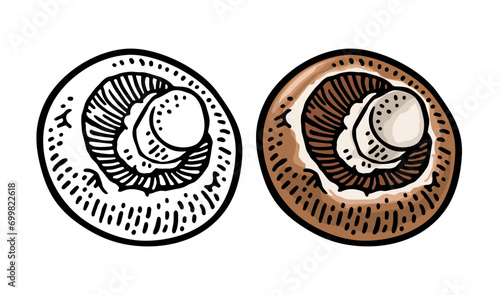 Champignon. Vintage color vector engraving illustration on white