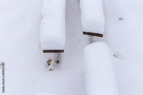 a snowy wooden boardwalk in a forest or swamp