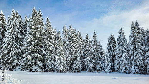 Winter in Germany, winter in Bavarian Swabia, winter in the Alps photo