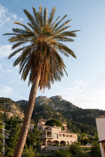 Landscape of a Mediterranean mountain village in the Tramuntana mountains with a palm tree in the foreground and traditional stone houses from the island of Mallorca, Spain