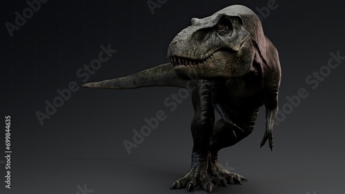 Tyrannosaurus Rex Stan render of background. 3d rendering