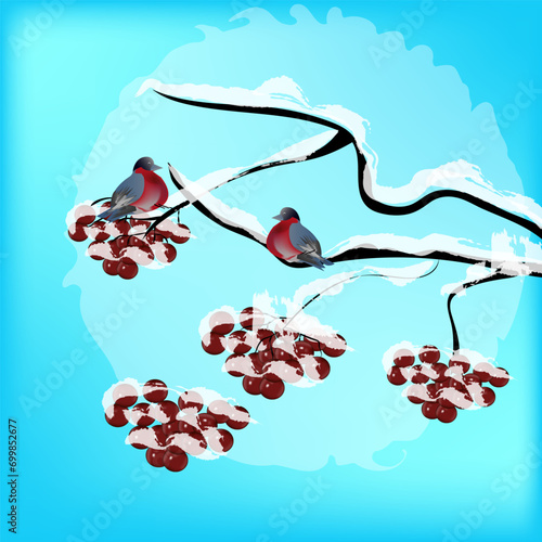 two bullfinches on a snow-covered viburnum branch