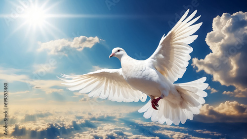 White beautiful dove against the sky with clouds