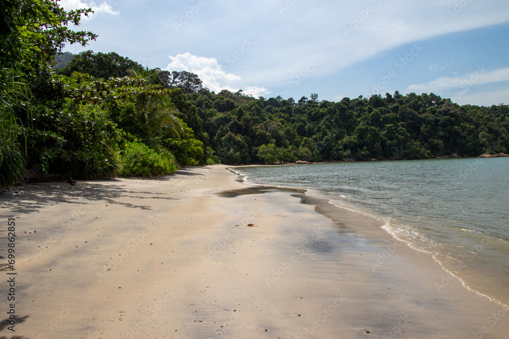 Serene beach with lush forest backdrop under a clear sky