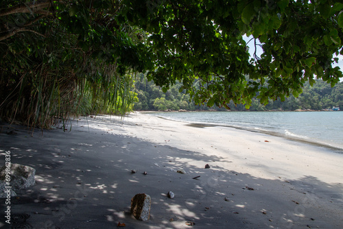 Secluded tropical beach with lush greenery and clear sandy shore