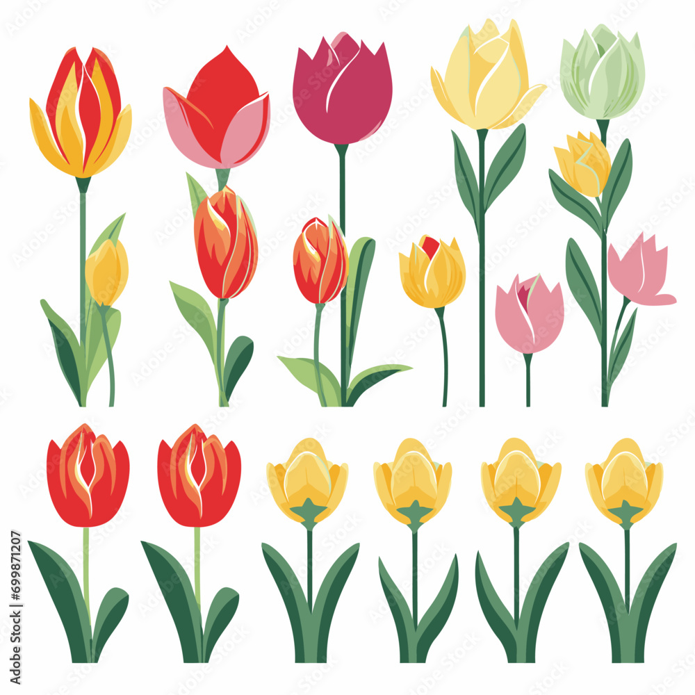 Obraz premium vector collection of tulip flower