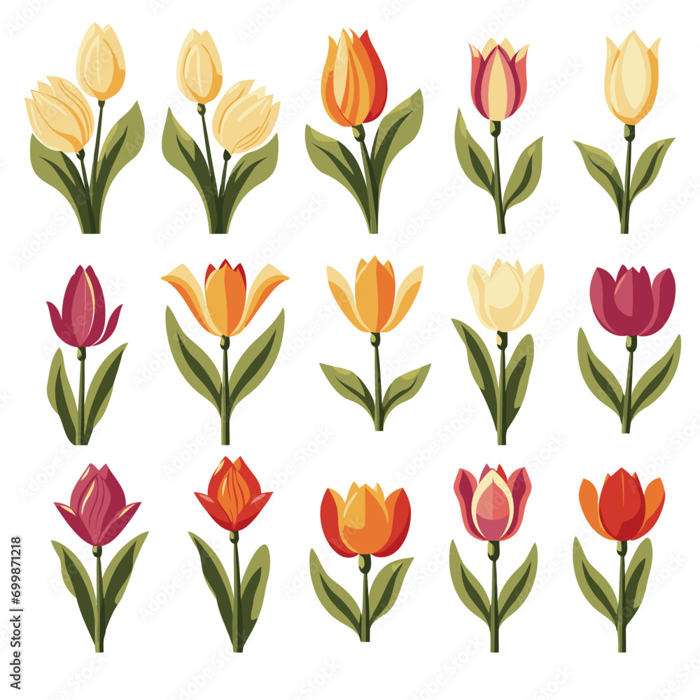 vector collection of tulip flowers vector collection of tulip flowers