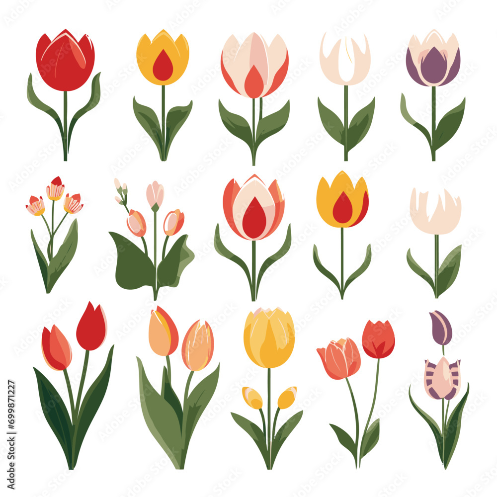 vector collection of tulip flower vector collection of tulip flower