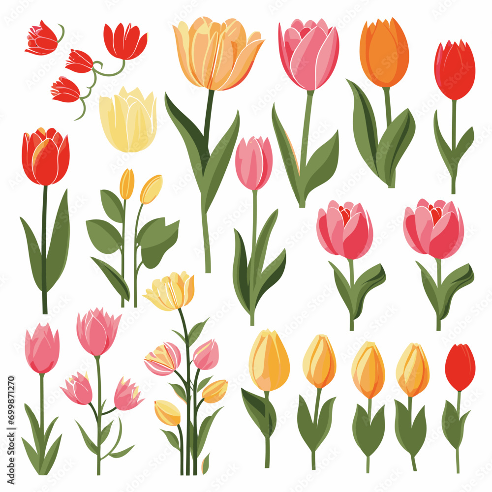vector collection of tulip flower vector collection of tulip flower