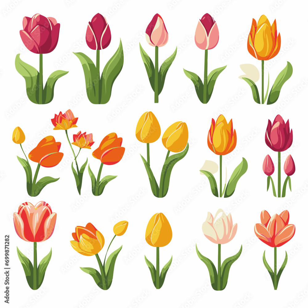 vector collection of tulip flowers vector collection of tulip flowers