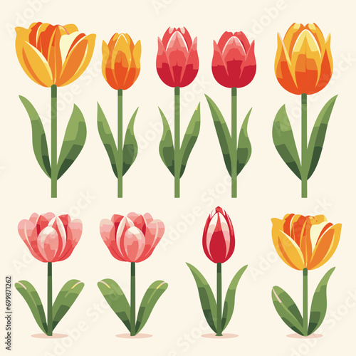 vector collection of tulip flower