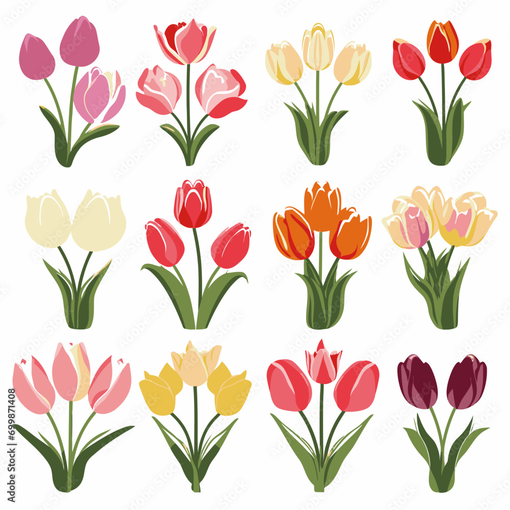 vector collection of tulip flower