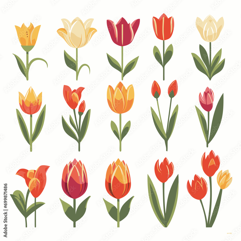 Obraz premium vector collection of tulip flower